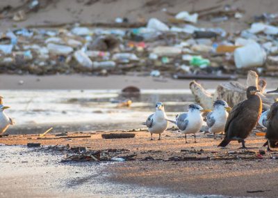 water quality studies eastern cape south africa